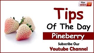 Tips Of The Day : " Pineberry Can Make You Healthier"
