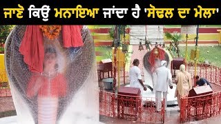 Special Story: History of Jalandhar's famous 'Baba Sodal Temple'