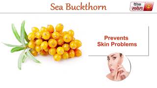 Tips Of The Day : "Sea Buckthorn Can Make You Healthier"