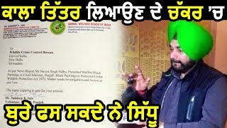 Exclusive Interview: काला तित्तर मामले में बुरे फसे Navjot Sidhu, Can be Arrest for 3 years?