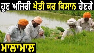 Punjab के किसानों के लिए Art of Living लाया Natural Farming की सौगात