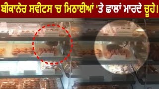 Bikaner sweets की मिठाईयों पर कूदते चूहे की Video viral