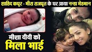 Shahid Kapoor and Mira Rajput blessed with a son | Dainik Savera