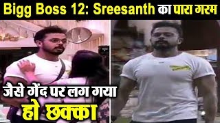 Bigg Boss 12 : Sreesanth gets angry on housemates | Dainik Savera