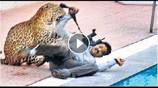 Leopard sneaks into Bengaluru school