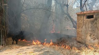 गुलाब बाग में लगी भीषण आग 2 घंटे बाद पहुची फायर ब्रिगेड टीम