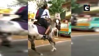 Watch how Class 10th girl rides a horse in her school uniform to exam centre