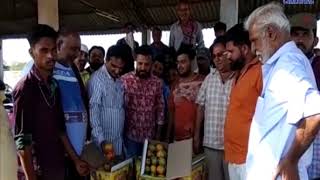 Kachchh : Mango arrival in marketyard