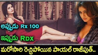 payal rajput in new movie after Rx100 I RECTVINDIA