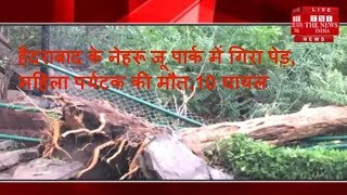 हैदराबाद के नेहरू जू पार्क में गिरा पेड़, महिला पर्यटक की मौत,10 घायल / THE NEWS INDIA