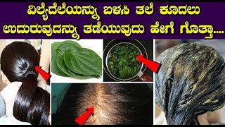 ವಿಲ್ಯೆದೆಲೆಯನ್ನು ಬಳಸಿ ತಲೆ ಕೂದಲು ಉದುರುವುದನ್ನು ತಡೆಯುವುದು ಹೇಗೆ ಗೊತ್ತಾ ? | Kannada Health Tips