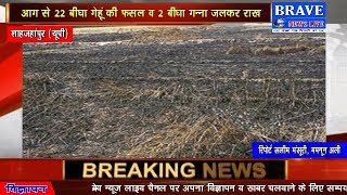 खेत में लगी भीषण आग, गेहूं व गन्ने की फसल जलकर राख, किसान परेशान | #BRAVE_NEWS_LIVE TV