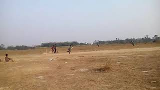 Gaaw ka cricket