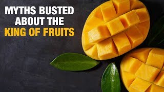 Mango does more good than bad: Myths busted about the king of fruits
