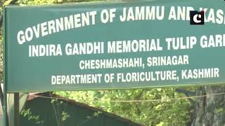 Jammu and Kashmir: Large number of tourists visit Asia's largest Tulip garden in Srinagar