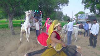 डी जे वाला गानो लगा शादी को | Dj Wala Gano Laga Sadi  Ko | Bhawar Khatana | Vid Evolution Rajasthani