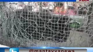 Chhota Udaipur: Forest Department team has caught a bear | Mantavya News