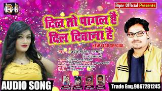 2019 NEW YEAR का Jai Om_Sonu Sargam का सुपरहिट गाना - दिल तो पागल है - Dil To Pagal Hai