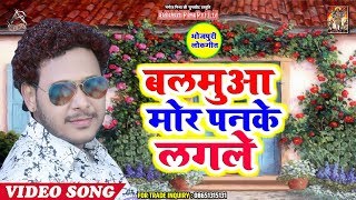 बलमुआ मोर पनके लगले - Bhatar Mor Panake Lagle - Shani Kumar Shaniya - Bhojpuri Songs 2019 New