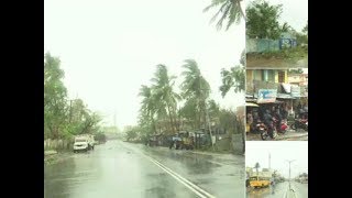 Cyclone Fani hits West Bengal triggering heavy rainfall, uprooting trees