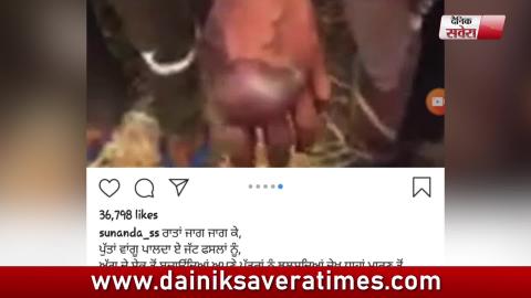 Ammy Virk ਤੋਂ ਬਾਅਦ Sunanda Sharma ਆਈ ਮਦਦ ਵਾਸਤੇ ਸਾਹਮਣੇ l Dainik Savera