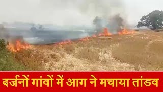 सीमावर्ती क्षेत्र के दर्जनों गांवों में आग ने मचाया तांडव, कई किसानों के खेत हुए तबाह