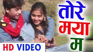 Tore Maya Ma | Cg Song | Shekh Ameen | Chaina Tripathi | New Chhattisgarhi Geet | HD Video