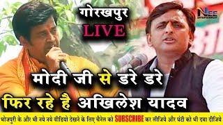 नचनिया कहने पर #रवि किशन ने #गोरखपुर से #अखिलेश पर किया पलटवार !! RaviKishanLiveGorakhpur