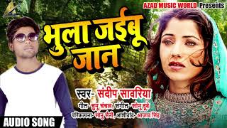 Bhojpuri Sad Song - भुला जइबू जान - Sandeep Sawariya - Bhula Jaibu Jaan - Superhit song 0f 2018