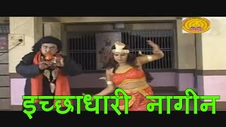 Bachala E Kaali || Mahima Maha Maai Ke  ||  Bhakti Song  || Mittal Rao "Jakhmi" || Hit Song