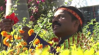 पहले सजाउ मइया पूजा की थाली | PR Films | Chitrashram | देवी आरती New Devotional Song