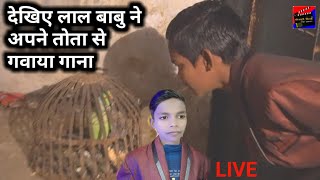 देखिए लाल बाबु ने गाना गवाया अपने तोता रिपु से~Lal Babu Parrot Singing Video