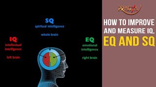 How To Improve and Measure IQ, EQ and SQ (Multiple Intelligence) of Kids