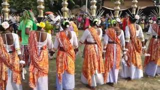 New Santali traditional Dance  Video Full Hd video