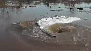 पानी में बनने वाला भंवर कितना खतरनाक हो सकता है, देखिये वीडियो