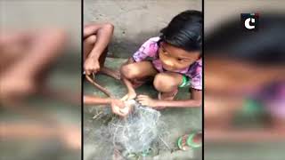 Watch: Minor children rescue non-venomous snake trapped in fishnet