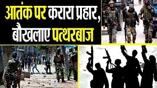 Kashmir में सेना ने ठोके 8 आतंकी तो ...पत्थरबाजों ने मचाया जमकर तांडव..viral video.