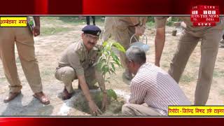 अम्बेडकर नगर //- विश्व पर्यावरण दिवस पर पुलिस अधीक्षक बीरेन्द्र कुमार मिश्र ने लगाया वृक्ष