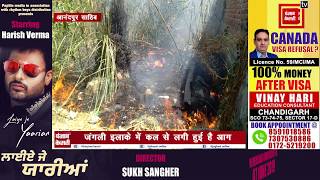 आनंदपुर साहिब के जंगलों में लगी आग,प्रशासन नहीं ले रहा कोई सुध
