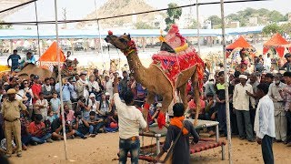 Rajasthani Dj Song | टपके पसीना गालन पे | Latest Rajasthani Dj Song 2019