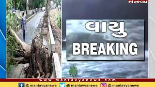 Junagadh: ઝાડ પડવાના કારણે ટ્રાફિકજામ થયો - Mantavya News