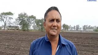 Dhoraji |Farmers started sowing | ABTAK MEDIA