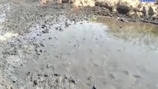 Bhachau | Pollution by releasing water polluted by the company on the ground| ABTAK MEDIA