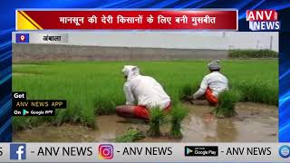 मानसून की देरी किसानों के लिए बनी मुसबीत || ANV NEWS AMBALA - HARYANA