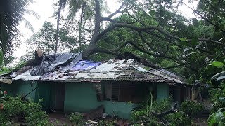 Tree Uprooted In Bhatlem-Panjim Damaging House