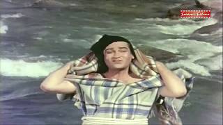 Tumse Achha Kaun Hai Song Of Shammi Kapoor | JANWAR | Swami Films MUSIC