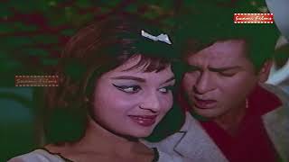 JAWAN MOHABBAT | Jab Mohabbat Jawan Hoti Hain | Best Shammi Kapoor & Asha Parekh Song