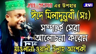 Bangla Waz । ঈদে মিলাদুন্নবী (দ.) সম্পর্কে । Mawlana Wali Ullah Asheqi | 2019