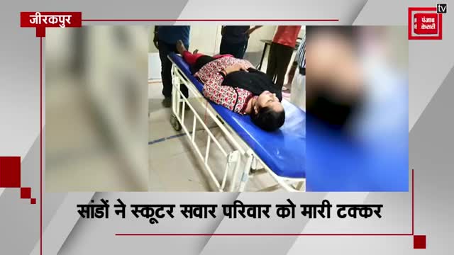 LIVE VIDEO आवारा सांडों की लड़ाई में 6 महीने की बच्ची की मौत