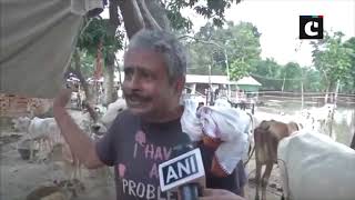Cow shelter housing over 500 cows flooded in Bihar’s Madhubani